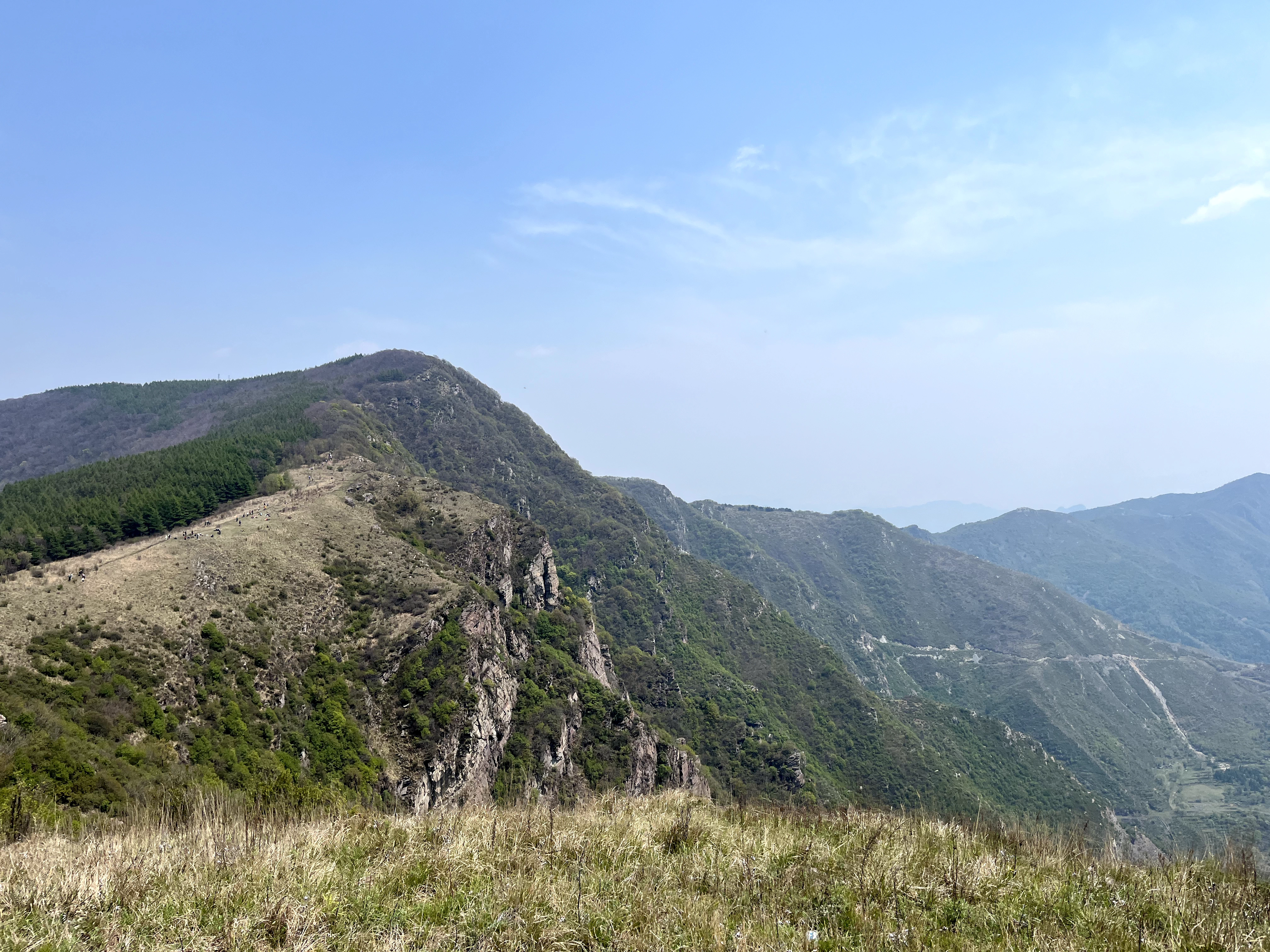 我第一次见到亚高山草甸